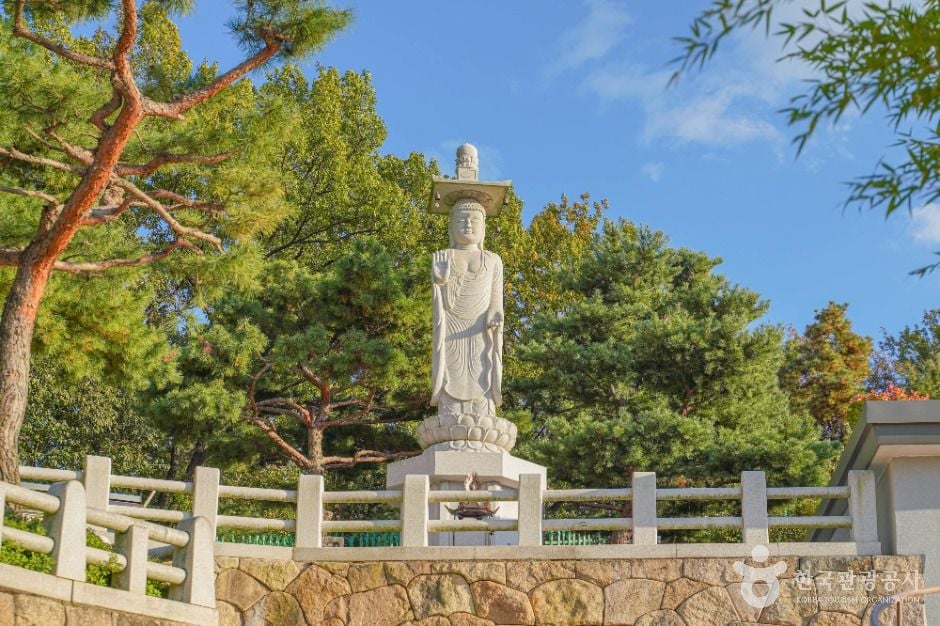 서울 달마사 이미지 5