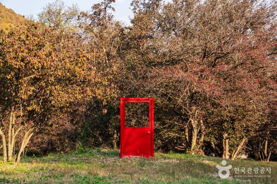 이천 산수유마을 이미지 3