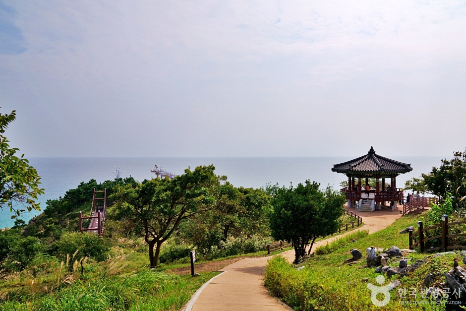 울진 등기산등대공원 이미지 1