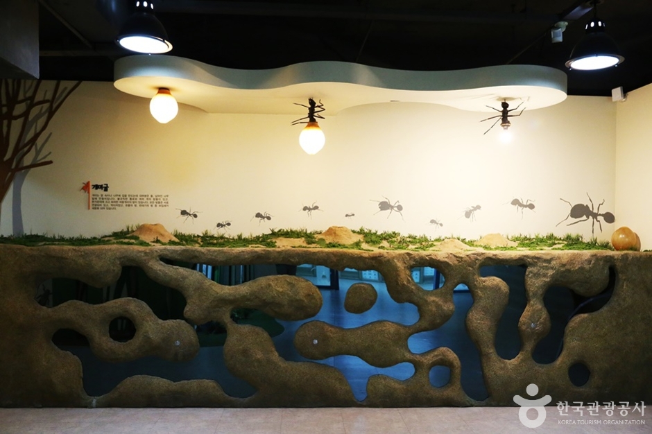 거제 곤충생태박물관 이미지 9