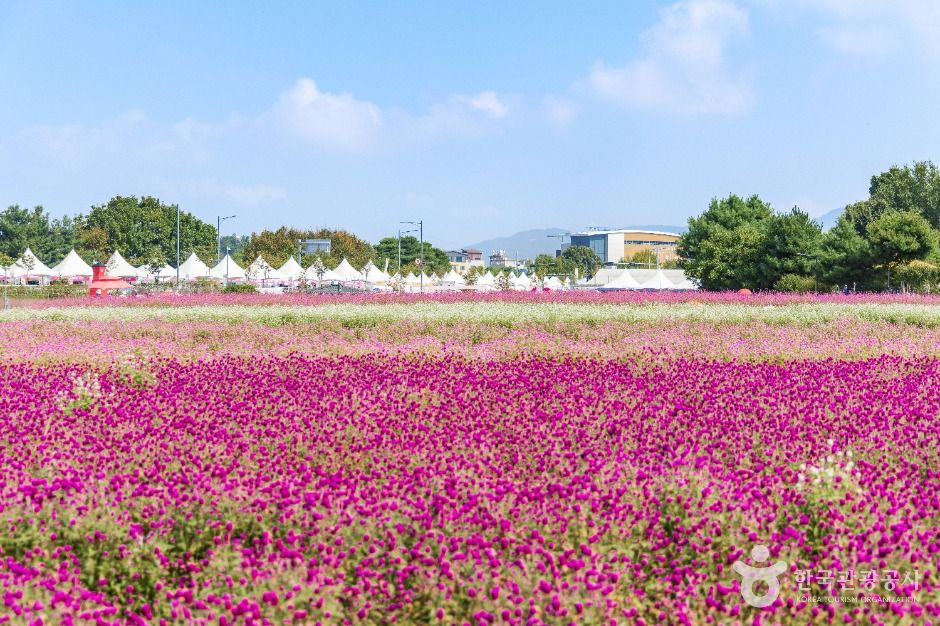 양주 나리농원 이미지 10