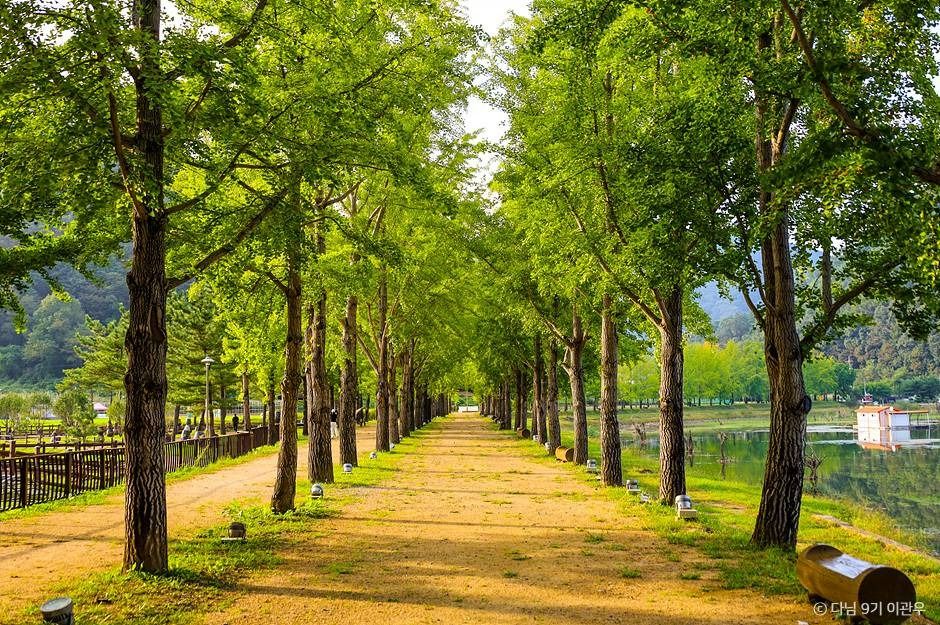 괴산 문광저수지 이미지 4