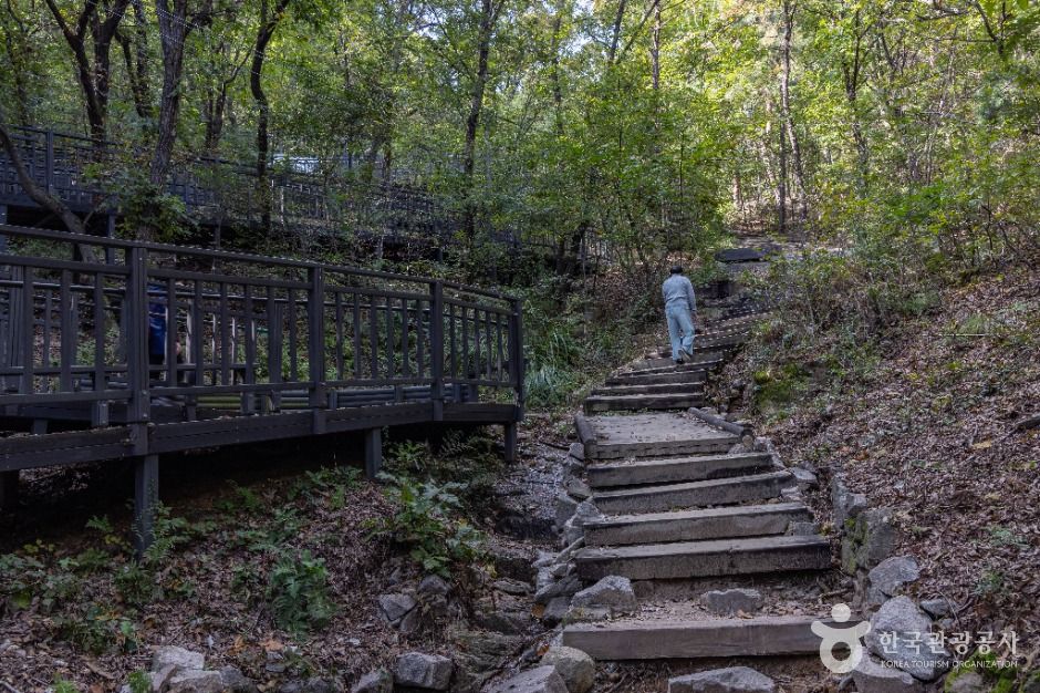 서울 봉화산 이미지 6