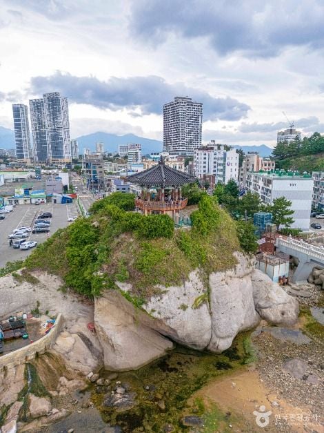 속초 영금정 이미지 8