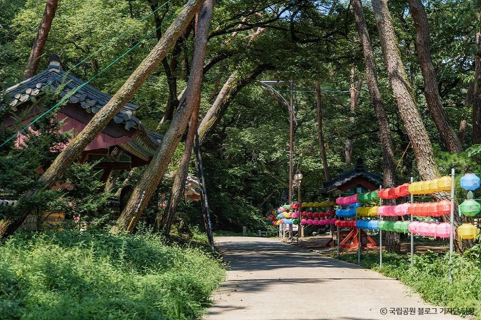 영천 팔공산국립공원_은해사지구 이미지 6