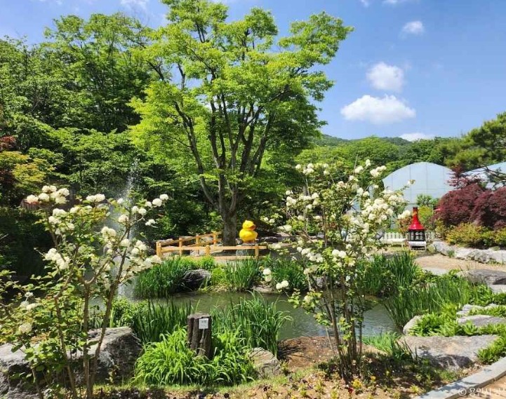 용인 동천자연식물원 이미지 4