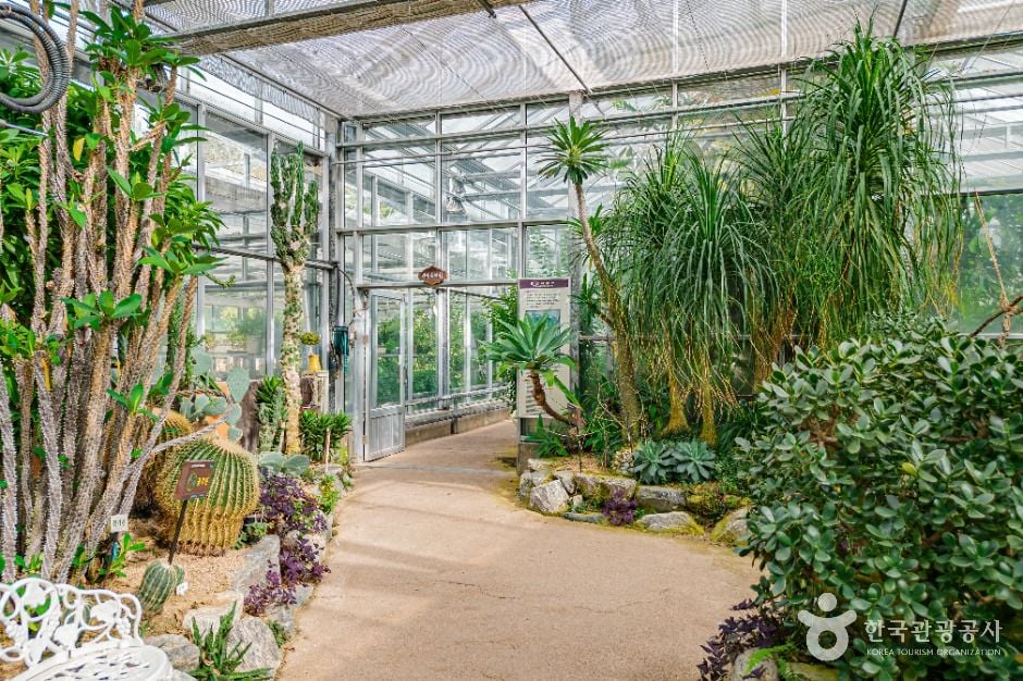 완주 대아수목원 이미지 8