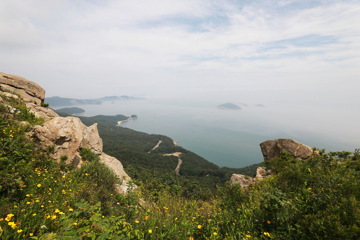 옹진군 덕적도 갈대 군락지 이미지 3