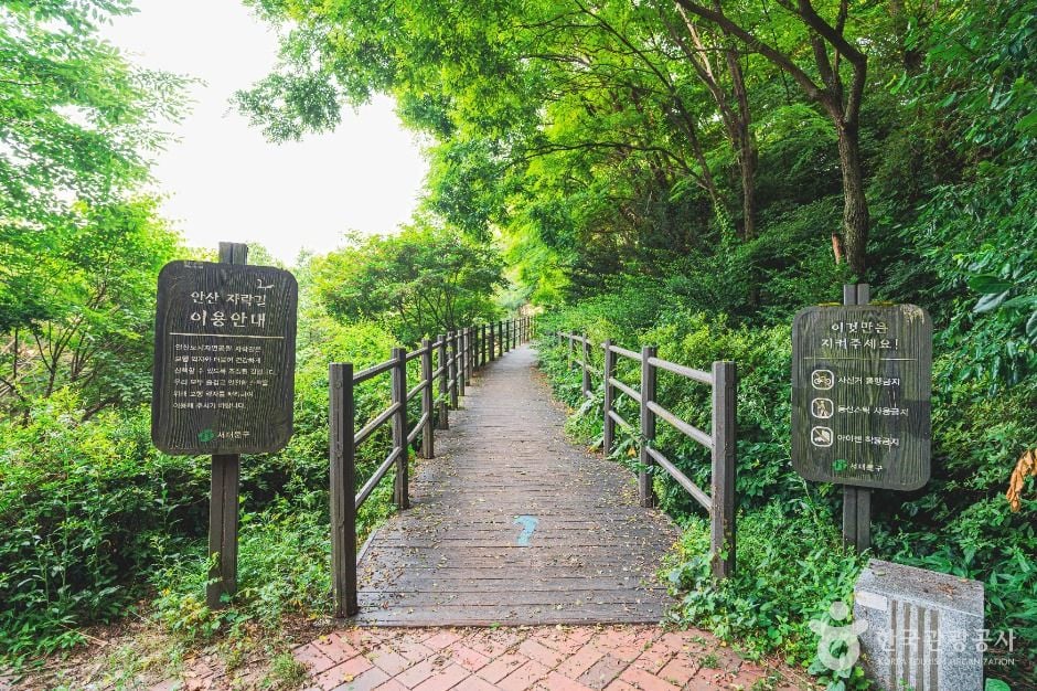 서울 서대문 안산_안산자락길 이미지 6