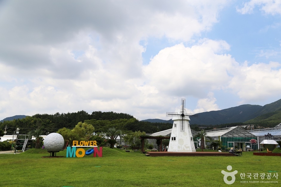 거제 곤충생태박물관 이미지 3