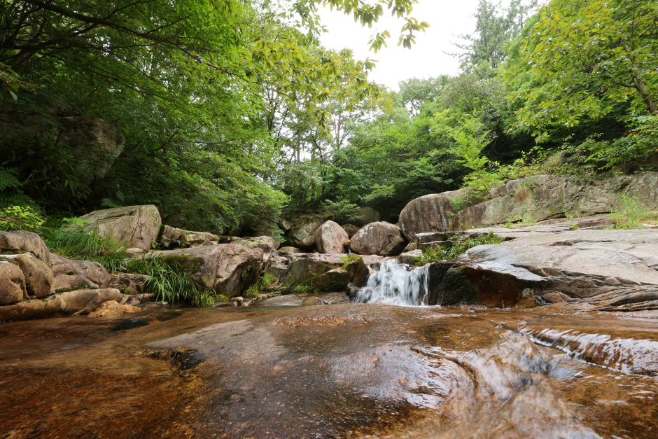 강진 월출산국립공원 경포대지구 이미지 6