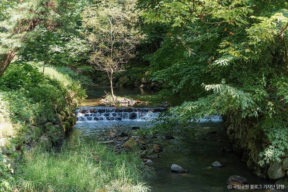 영천 팔공산국립공원_은해사지구 이미지 7