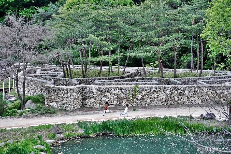 문경 생태미로공원 이미지 5