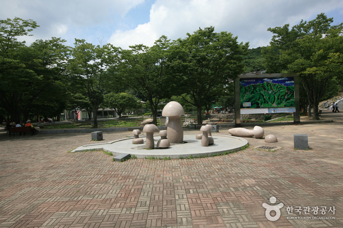 대구 팔공산국립공원 _동화사 지구 이미지 8