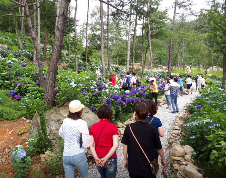 해남 포레스트수목원 이미지 8