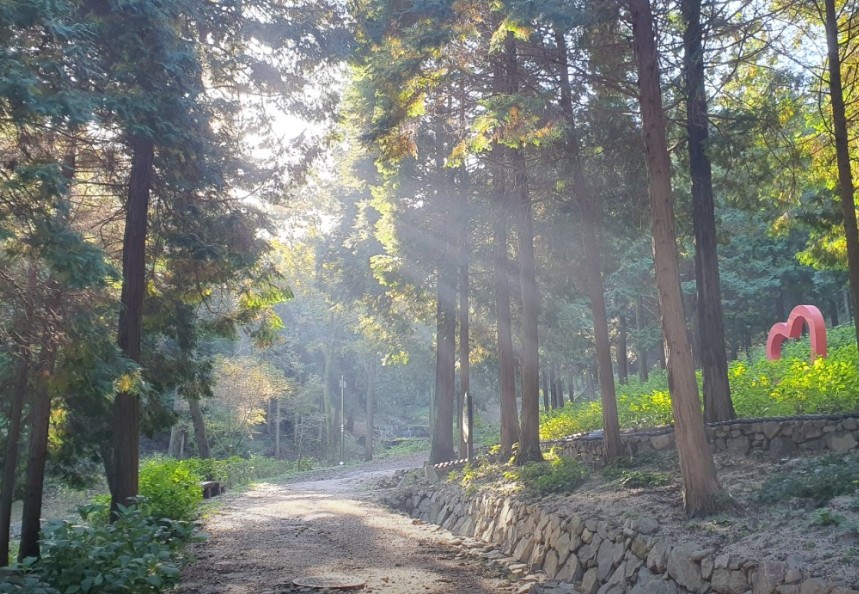고성 갈모봉자연휴양림 이미지 3