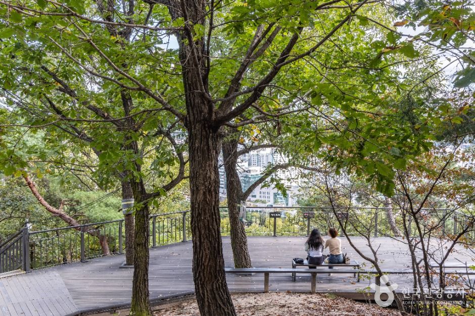 서울 봉화산 이미지 4