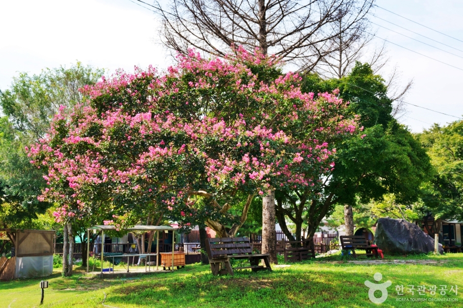 논산 덕바위농촌체험휴양마을 이미지 5
