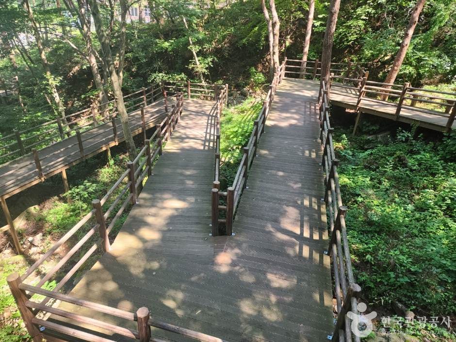 거창 항노화힐링랜드 이미지 5