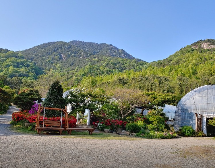 담양 다화림식물원 이미지 6