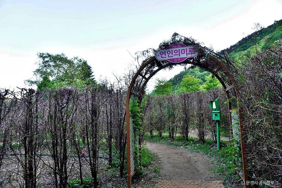 문경 생태미로공원 이미지 3