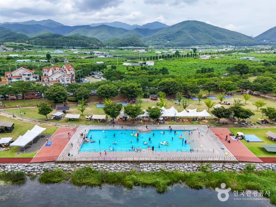 영천 임고강변공원 이미지 4