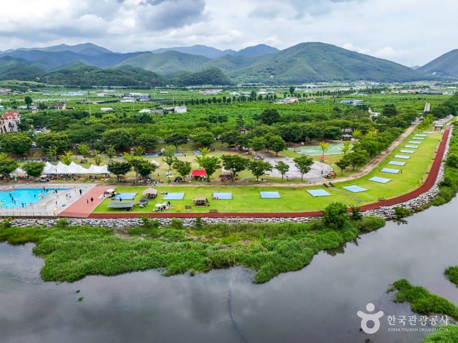 영천 임고강변공원 이미지 5