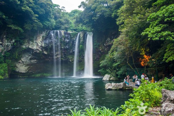 천지연폭포 (제주도 국가지질공원) 썸네일