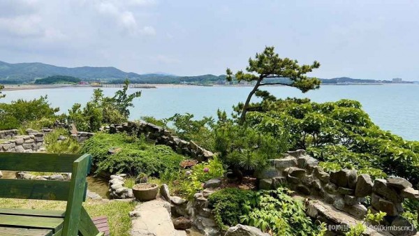 보령 상화원 [섬 전체가 정원] 썸네일