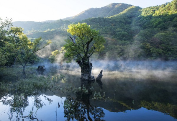 경북 주산지(청송 국가지질공원) 썸네일