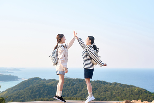 테마 전체 이미지